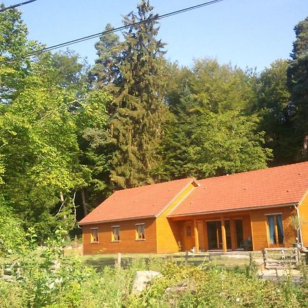 Vosges Chambres D'Hotes Jeanmenil Eksteriør bilde