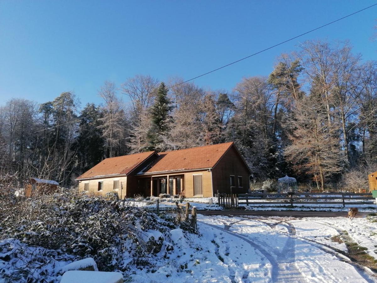 Vosges Chambres D'Hotes Jeanmenil Eksteriør bilde