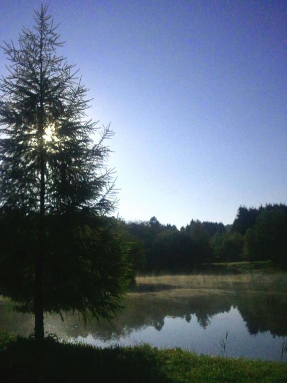 Vosges Chambres D'Hotes Jeanmenil Eksteriør bilde